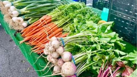 Galleria at Tyler-Riverside Farmers Market - February