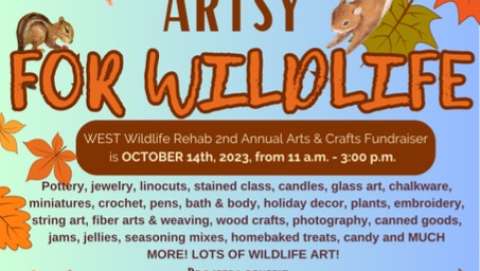 WEST Wildlife Rehab Arts & Craft Fair