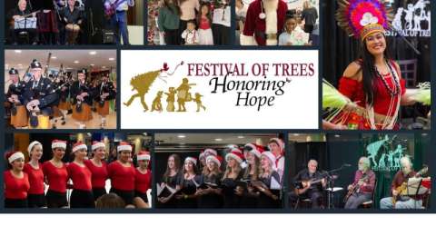 Festival of Trees Benefiting Ann's Place