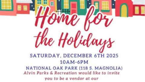 Home For the Holidays