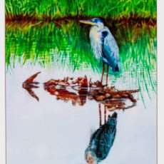 Pirate's Treasure Painting Print Blue Heron