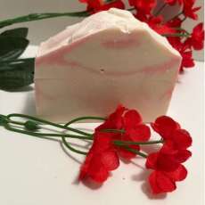 Cranberry Pomegranate Soap