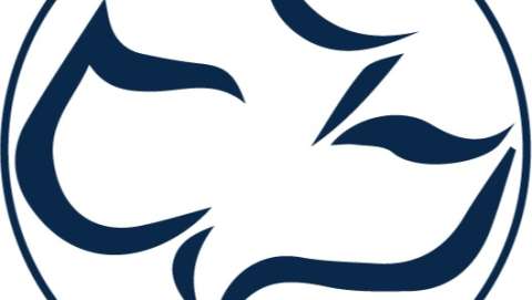 Calvary Community Fest