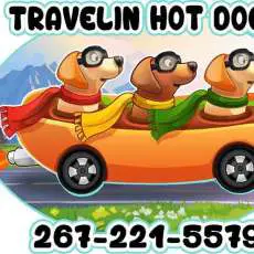 Travelin HOT DOGS