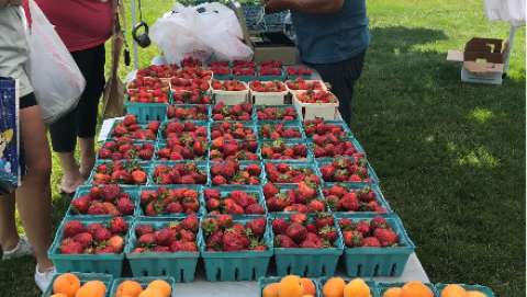 Town of Cromwell Farmers Market - August