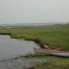 Assateague Adventure