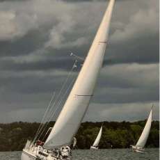 Regatta on Lake Hartwell