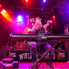 Michael Lazar Rocks the Whiskey a Go Go