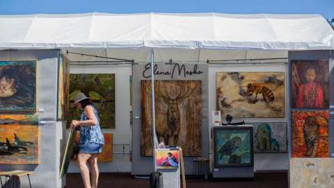 Thirty-Ninth Peninsula Art League Summer Art Festival