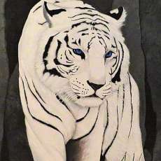 White Tiger 2