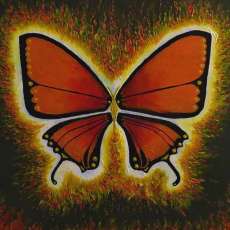 Butterfly Phoenix