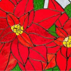 Diamond Poinsettias