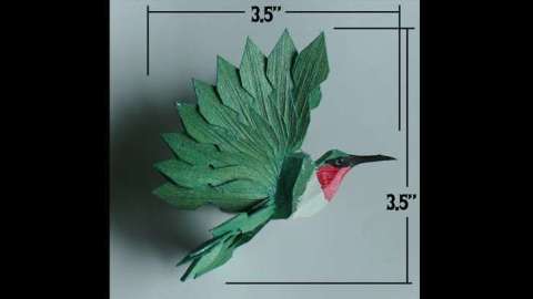 Humming Bird With Dimensions
