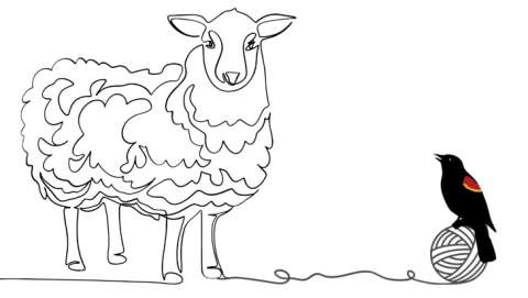 Quilcene Fiber Festival