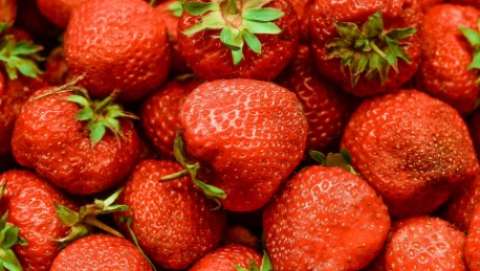 Bedford Strawberry Festival
