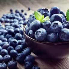 Blueberry Festival