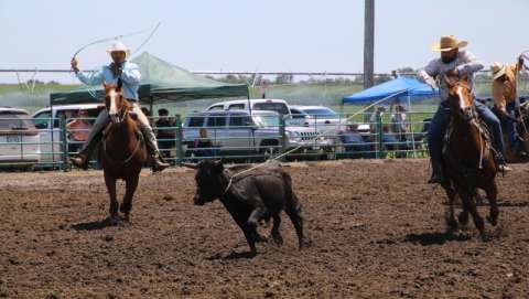 Phelps County Fair