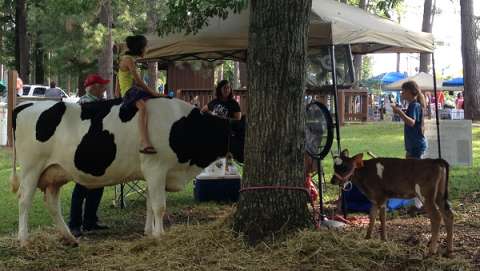 Walthall County Dairy Festival