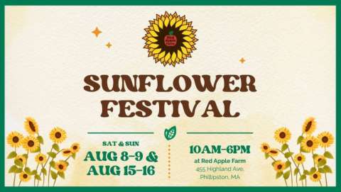 Sunflower Festival First Weekend