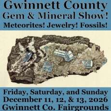 2026 Gwinnett Show Poster