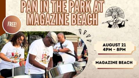 32nd Cambridge Carnival Pan in the Park