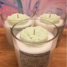 Lush Succulent Candle 10 Oz. Glass Jar