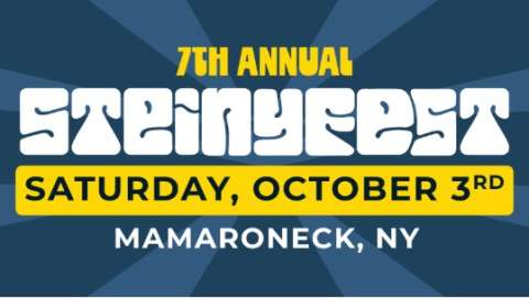 Steinyfest