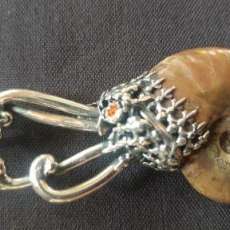 Sterling Silver/Opalized Nautilas Shell/Garnet Eye/Citrine