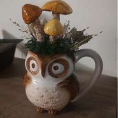 Mushroom Owl