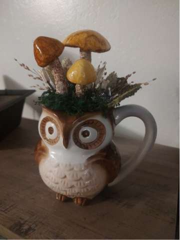 Mushroom Owl