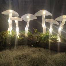 Lit Mushrooms