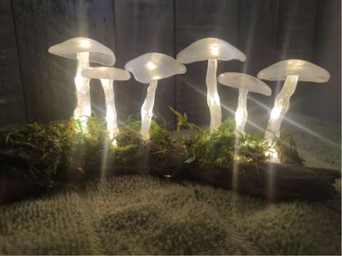 Lit Mushrooms