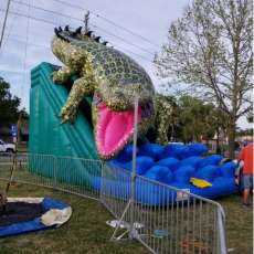 Big Gator Slide