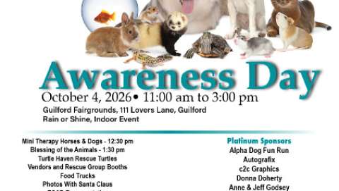 Animal Awareness Day Animal Awareness Day
