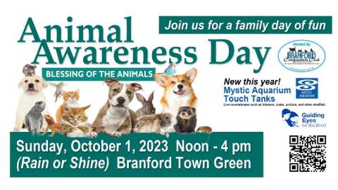 Animal Awareness Day