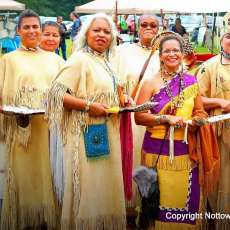 Pow Wow Image