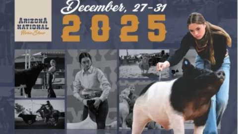 Arizona National Horse Show