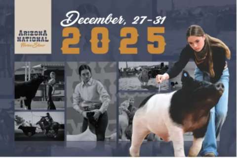 Tyler Grandil Tyler Grandil