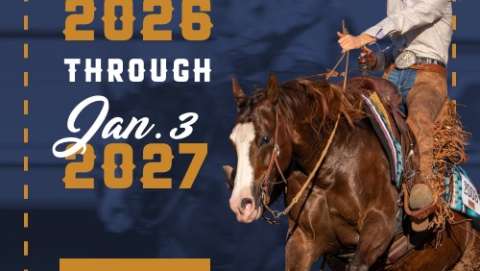 Arizona National Horse Show