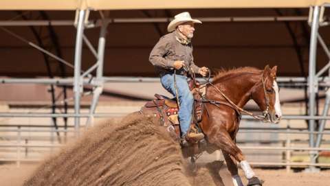 Arizona National Horse Show