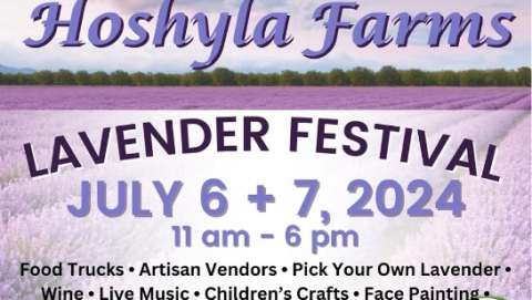 Hoshyla Farms Lavender Festival