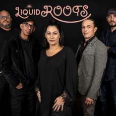 Liquid Roots Rock Band