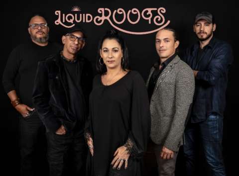 Liquid Roots Rock Band