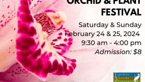 Sawgrass Nature Center Orchid & Plant Festival