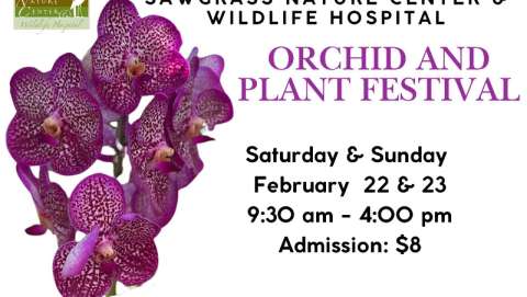 Sawgrass Nature Center Orchid & Plant Festival