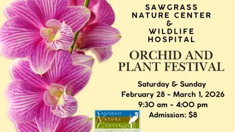 Sawgrass Nature Center Orchid & Plant Festival
