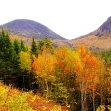 Fall 2023 on Kancamagus Highway, New Hampshire