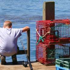 Where Are the Fish? Maine