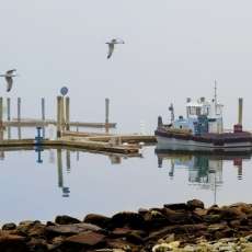 Fly By, New Bedford, Massachusetts