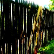 One of Jefferson's Monticello Fences, Charlottesville VA